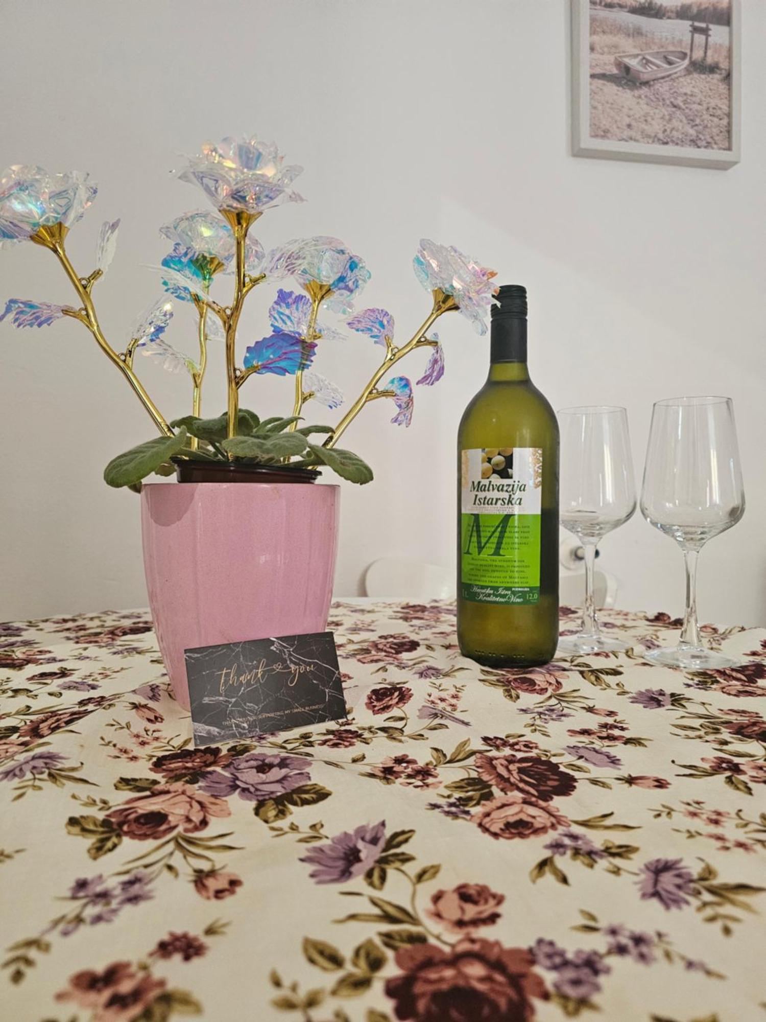 Apartment Miska & Studio Roki Dracevac Bagian luar foto